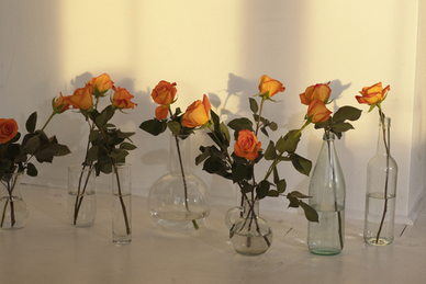 关于楼盘位置偏的说辞