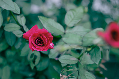 2020年1月10号黄历日子 【黄道吉日】2020年1月10日黄历查询