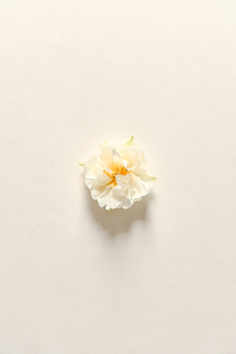 长明灯不小心弄灭了怎么化解 长明灯不小心弄灭了该怎么办