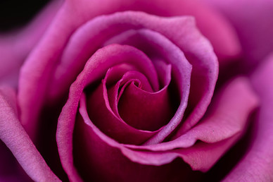 婚礼现场新娘讲话词 新娘发言词简短大方