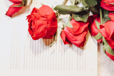 娇韵诗查生产日期 娇韵诗双萃精华如何看生产日期