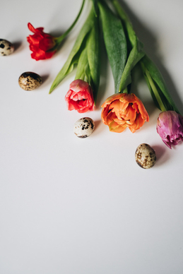 腿短的男生适合穿什么鞋子 腿短穿高帮还是低帮好