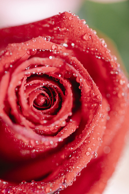 结婚照底片是什么样的 结婚证件照的照片要求