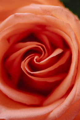 卖掉结婚的衣服有忌讳吗