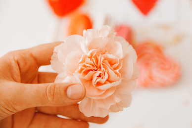 结婚一个摄像一个摄影够吗