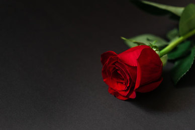 开婚车沾喜气的说说 朋友圈婚庆车队广告语婚车漂亮的说说朋友圈