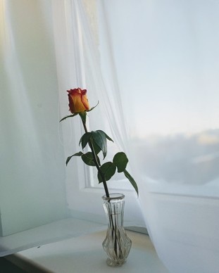 长春比较好的饭店 长春有哪些饭店好吃的