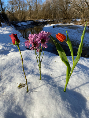 婚纱照50张入册少不少 结婚照两本相册入册多少张合适