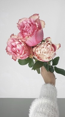 来宾到惠州汽车票价 广东惠州 广西来宾