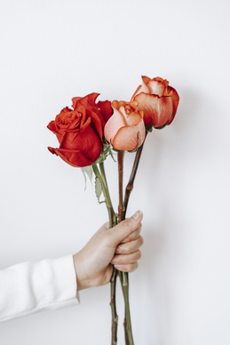 女方写给男方的回帖 过红事嫁闺女男方送娶帖女方回帖怎么写?