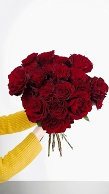 高情商主动聊天第一句说啥 聊天第一句高情商开场白