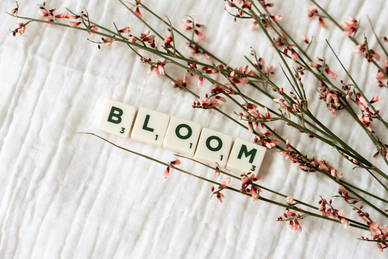 大型会议会场布置方案 会议重点的会场布置