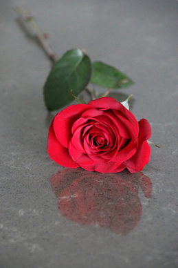 建阳喜多多婚庆公司