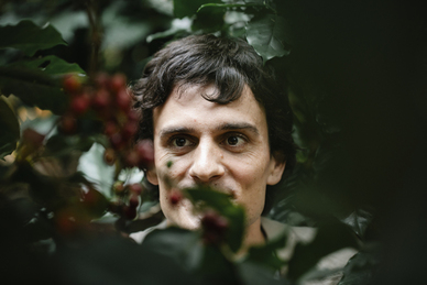 结婚可以送向日葵吗 结婚可以送向日葵吗