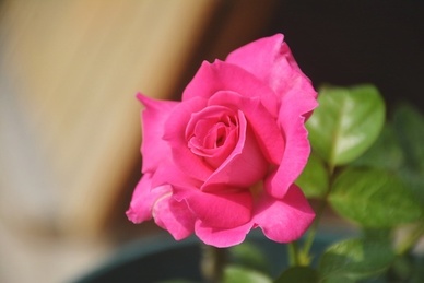 结婚第二天穿什么颜色衣服