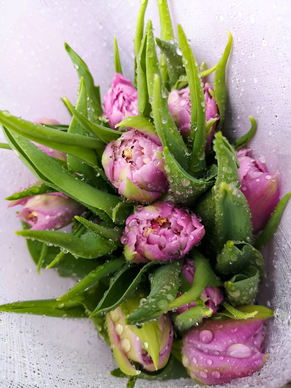 婚纱照摆台什么材质好