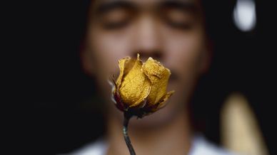 结婚算命能看出以前么