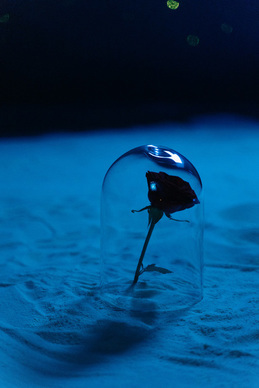 大胸手术一般多少钱 假体隆胸需要多少钱？