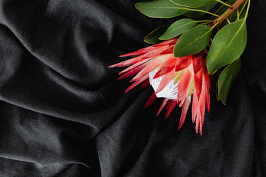 不堵门还能干什么接亲游戏 接亲游戏有哪些好玩的