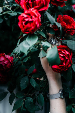 铅笔的铅是什么成分 铅笔的主要成分是什么?