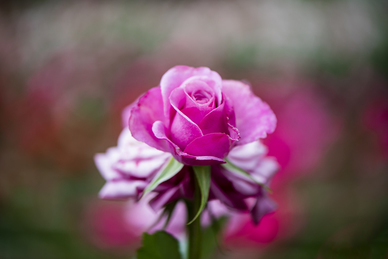 100元左右的活动礼品 一百元左右的礼物送什么好?