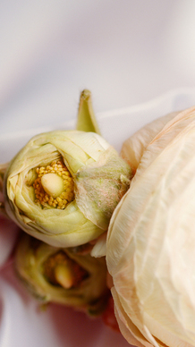 儿子婚礼父亲简短讲话 儿子结婚父亲致辞简短