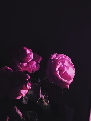 免费领赠品的网站 免费赠品网站那个好?