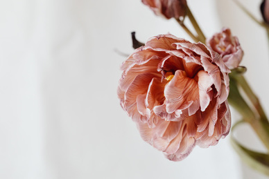 结婚用歌曲大全100首 100首婚礼歌曲