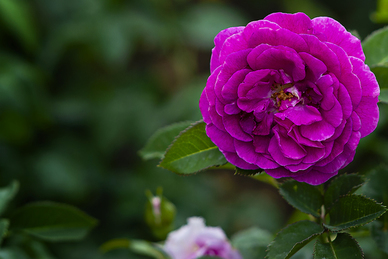 婚庆公司一年最多能挣多少钱 婚庆公司一年300万营业额毛利多少