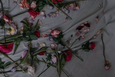 婚礼摄像单反相机推荐 一般结婚用的摄影机有哪些