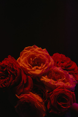 宝格丽婚宴中心 兴化宝格丽宴会中心怎么样