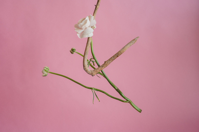 北京人随礼随多少钱 北京婚宴随礼？