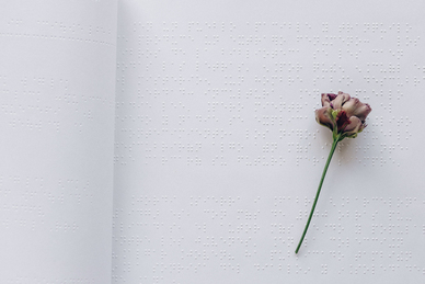 姐妹团人数算伴娘的吗