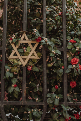 玫瑰花花瓣像什么形状 玫瑰花的花瓣像什么