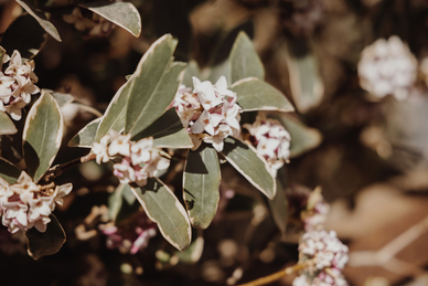给女人生活保障是什么 男朋友应当怎样保障女生的生活?