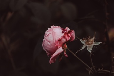 杭州办小型婚礼