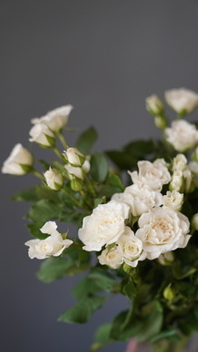 请柬上时间写几点合适 请帖吃饭时间一般写几点