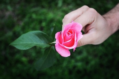 领证需要跟父母商量吗 领结婚证需要父母同意吗