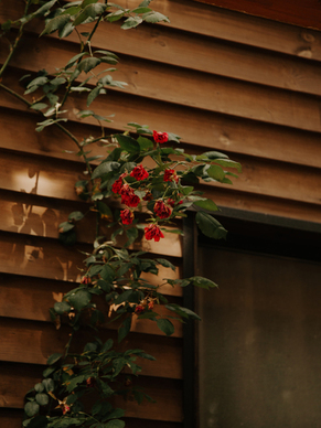 新娘出嫁拿主婚被该怎么说 接新娘搬嫁妆讲的顺口溜有哪些？