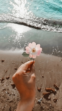 婚纱照片脏了如何清理 婚纱照上的灰尘痕迹怎么清除?