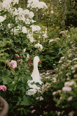 彩礼一般给多少吉利数字 彩礼吉利数字是多少?