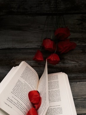 大陆民政局能查到香港结婚 在香港领了结婚证在大陆有记录吗