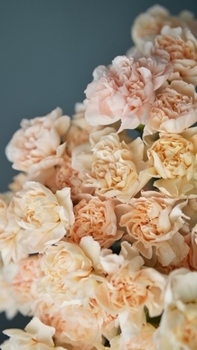 父母拿了男方彩礼不让我出门