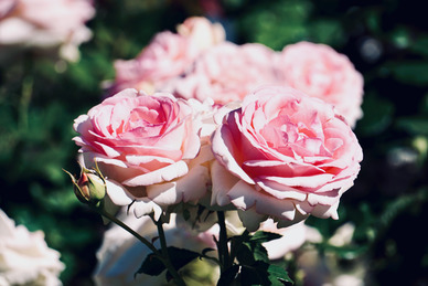 认识一周年送什么礼物 情侣相识一周年送什么礼物好