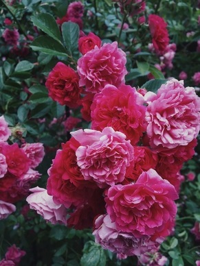 婚礼迎宾区自己布置