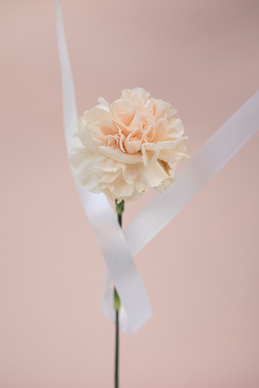 婚礼筹备会通知怎么写 婚礼筹备计划书应该怎么写？