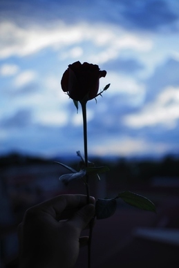 婚礼当天用真对戒还是假对戒 为什么婚礼用假对戒