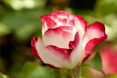 小姑子为啥要给哥嫂买衣服 今年小姑子为什么要给嫂子或第妹买鞋