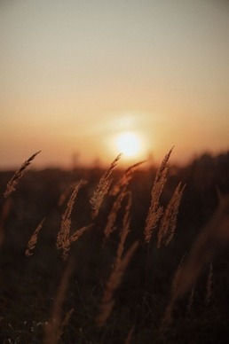 结婚西服都有啥牌子