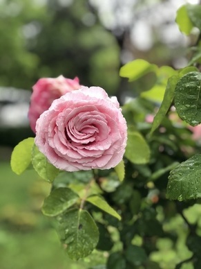 婚前买房写女方名字算谁的 婚前男方买房写女方名字房子归谁